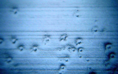 Moat & Castle Pitting